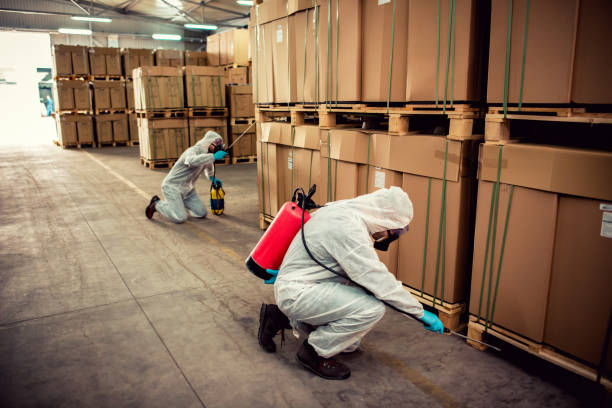 Flea Control Services in Bad Axe, MI