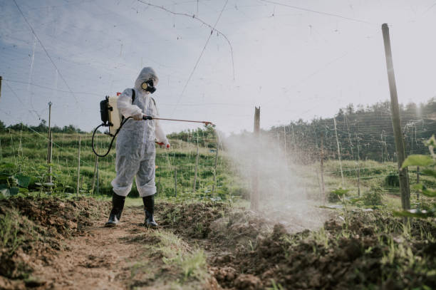 Best Pest Prevention Services  in Bad Axe, MI