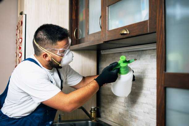 Best Pest Control Near Me  in Bad Axe, MI