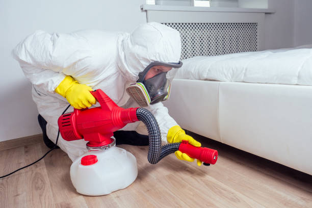 Best Rat Extermination Near Me  in Bad Axe, MI