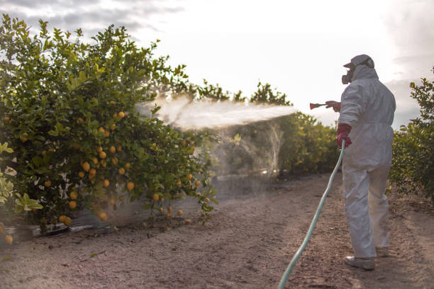 Best Exterminator Services  in Bad Axe, MI